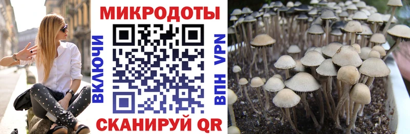 как найти закладки  Ейск  блэк спрут маркетплейс  Псилоцибиновые грибы ЛСД 