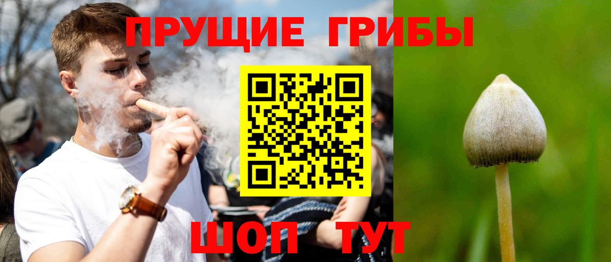 Псилоцибиновые грибы ЛСД  Вход с VPN  Ейск 